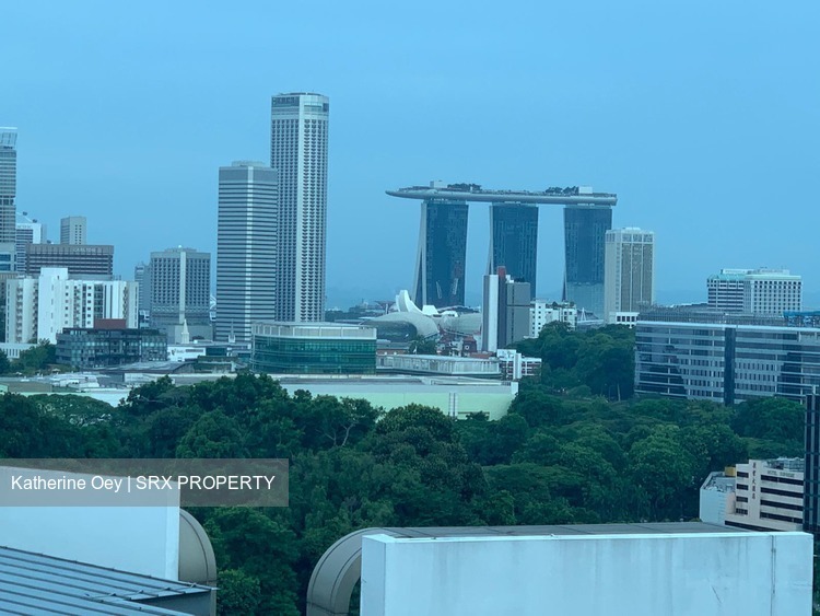 Cairnhill Crest (D9), Condominium #205427191